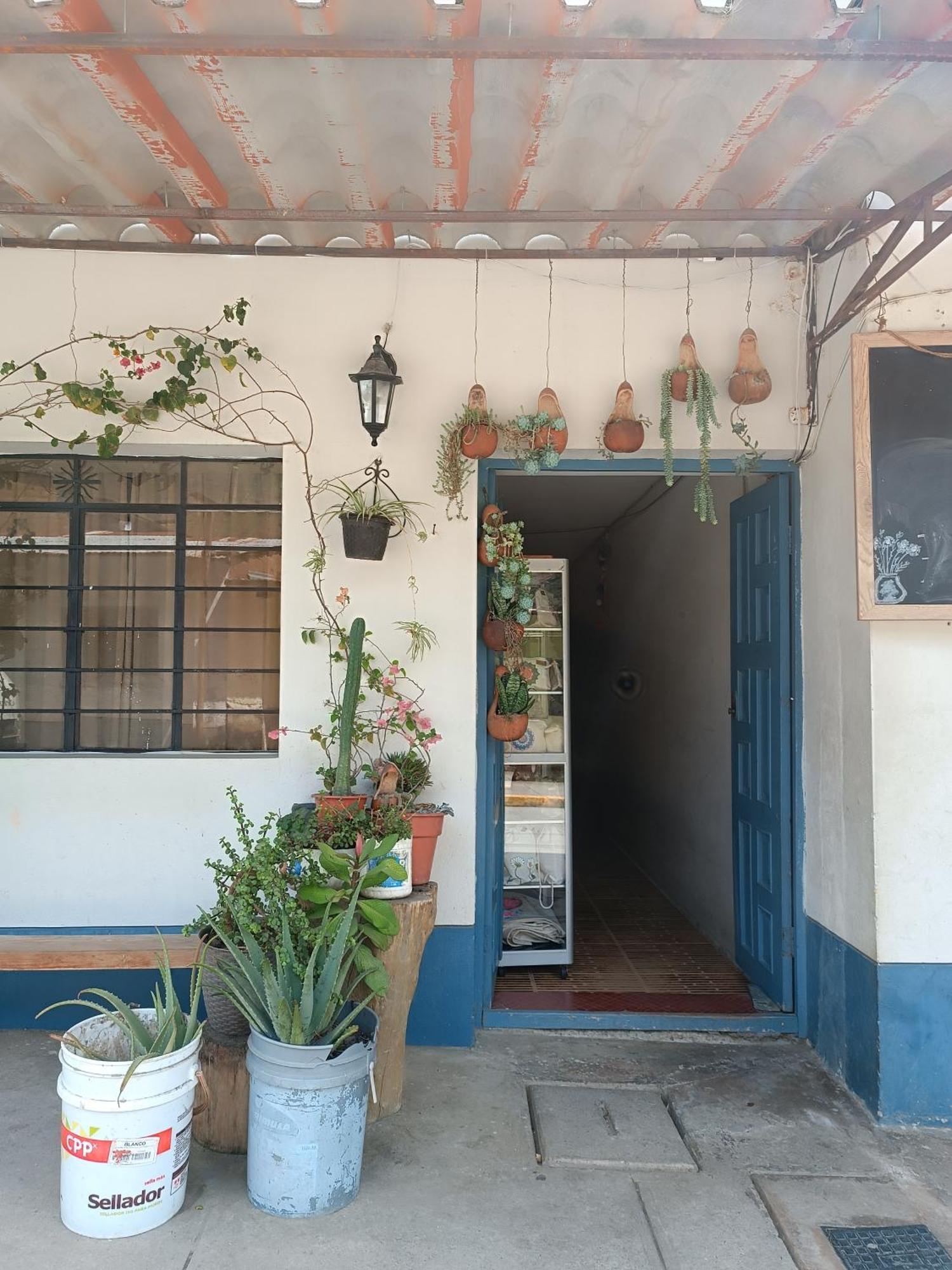 Hospedaje Quillabamba Santa Teresa  Kültér fotó